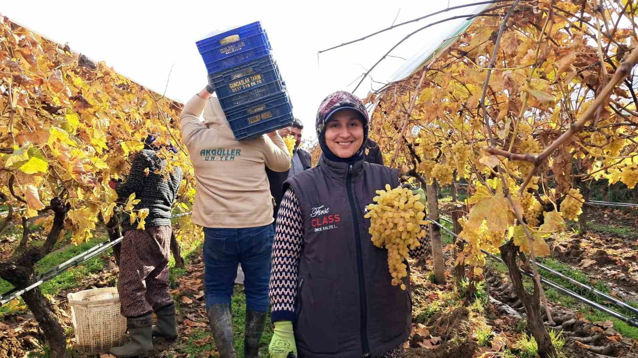 MANİSA'NIN SARIGÖL İLÇESİNE BAĞLI AŞAĞIKOÇAKLAR MAHALLESİ'NDE YENİ YIL SOFRALARININ VAZGEÇİLMEZİ...