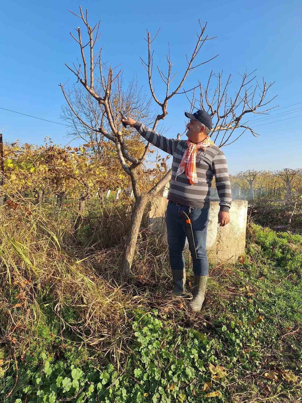 MANİSA’NIN SARIGÖL İLÇESİ VE ÇEVRESİNDE GEÇİMİNİ TARIMLA SAĞLAYAN ÇİFTÇİLER, KIŞ MEVSİMİNE RAĞMEN...