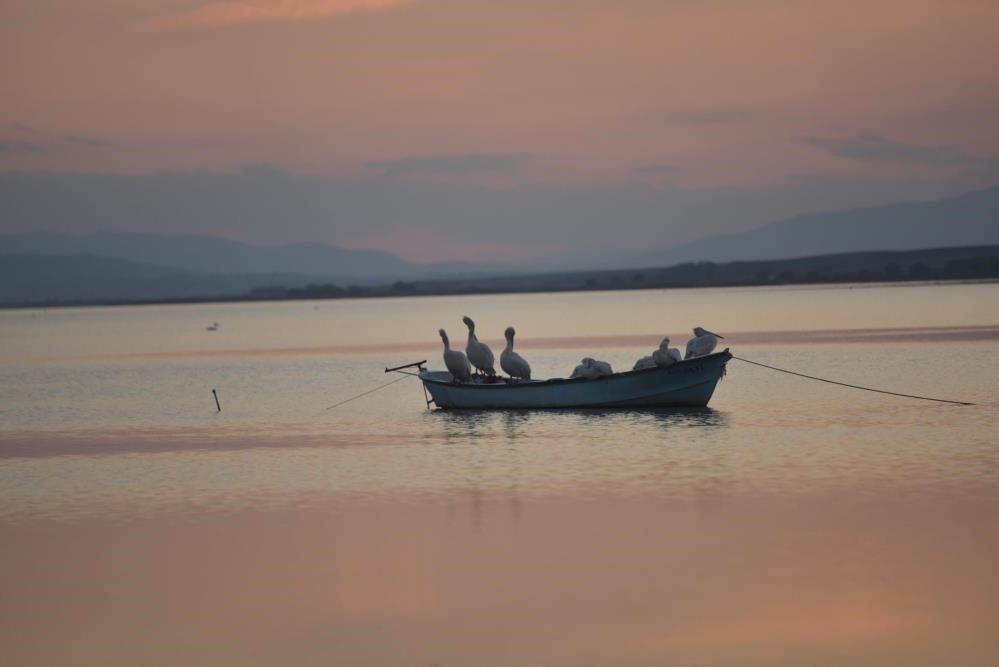 MANYAS BARAJI VE GÖLÜ'NDEKİ SU ÇEKİLMELERİ NEDENİYLE BURSA'NIN KARACABEY İLÇESİNDE BOL SU İSTEYEN...