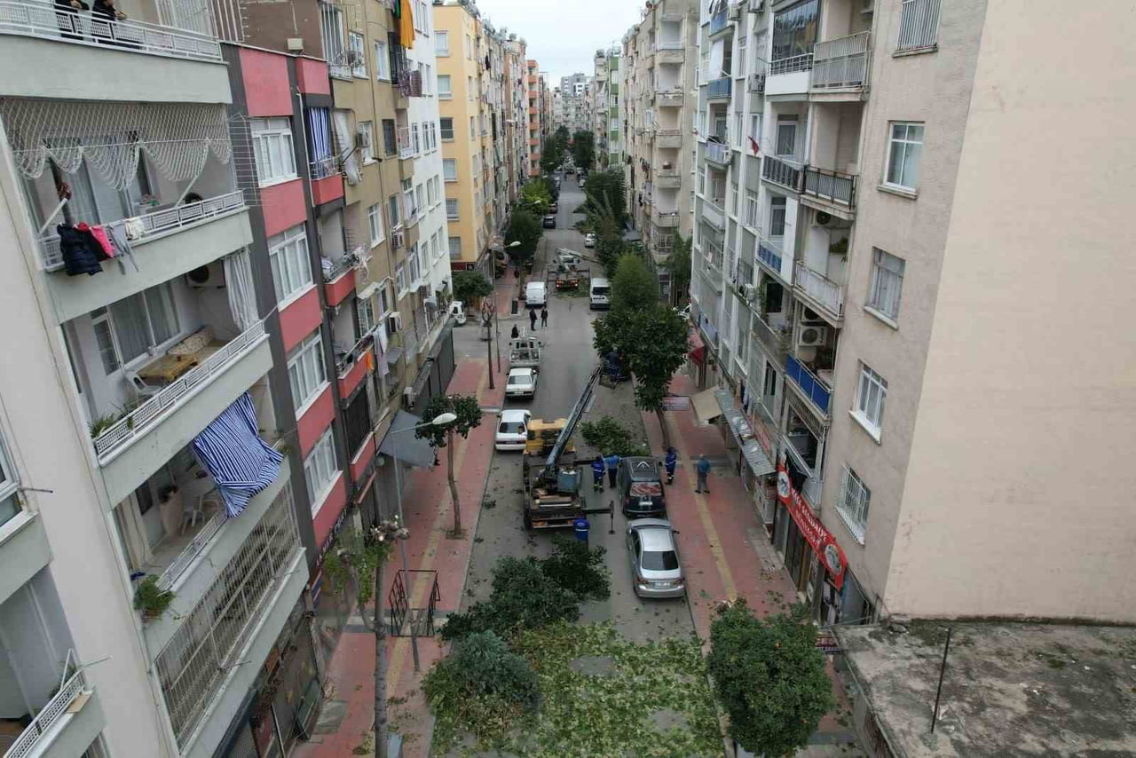 MERSİN'İN MERKEZ İLÇE AKDENİZ BELEDİYESİ, PARK, BAHÇE VE YEŞİL ALANLARDA BAKIM, ONARIM VE PEYZAJ...