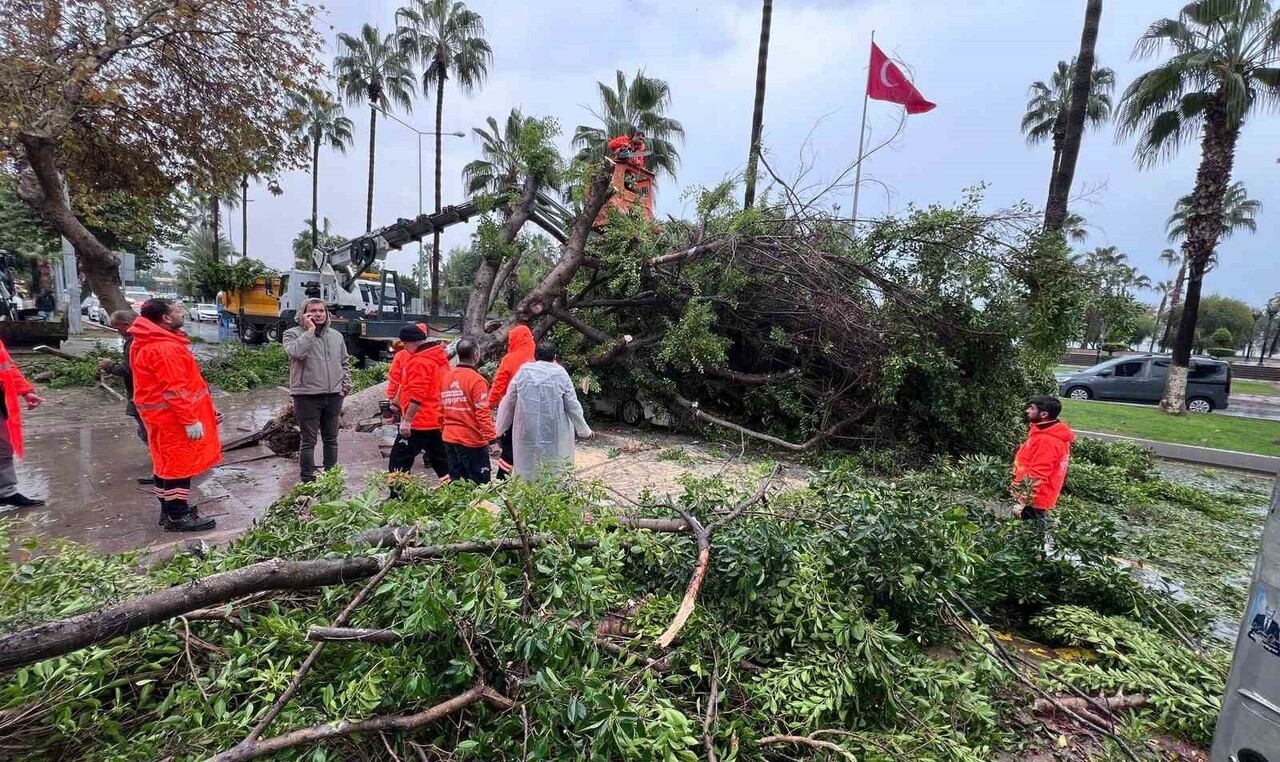 MERSİN’DE YAĞMURUN ETKİSİYLE KÖKÜNDEN SÖKÜLEN BİR AĞAÇ, YOLDAN GEÇEN 3 ARACA DÜŞEREK HASARA YOL...