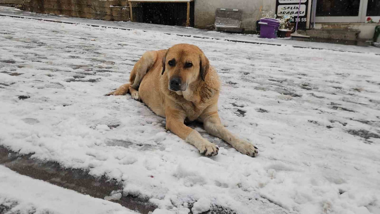 METEOROLOJİ 13’ÜNCÜ BÖLGE MÜDÜRLÜĞÜ’NÜN UYARILARININ ARDINDAN TUNCELİ’NİN YÜKSEK KESİMLERİ VE...