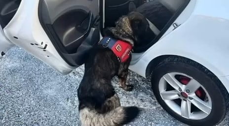 MUĞLA’DA JANDARMA TARAFINDAN YAPILAN DENETİMDE BİR HAFTADA 80 ŞAHIS YAKALANDI