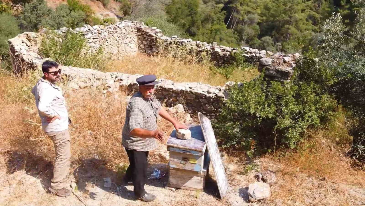 MUĞLA’DA KOVAN BARINAKLARI TEKRAR AYAĞA KALDIRILIYOR