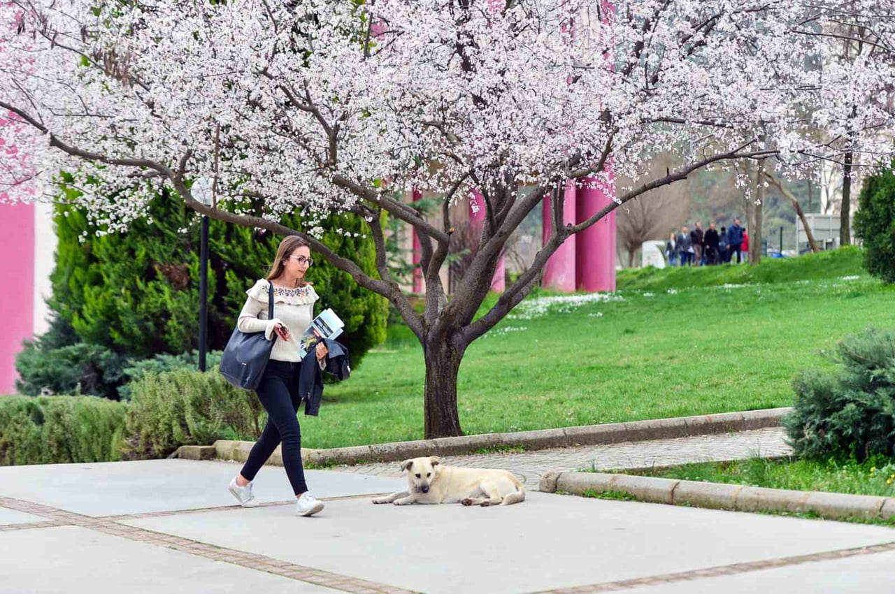 MUĞLA SITKI KOÇMAN ÜNİVERSİTESİ (MSKÜ), DÜNYANIN EN KAPSAMLI SÜRDÜRÜLEBİLİRLİK ODAKLI ÜNİVERSİTE...