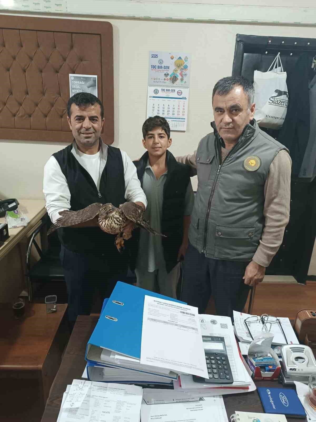 MUŞ’TA DOĞADA YARALI HALDE BULUNAN BİR ŞAHİN, DUYARLI VATANDAŞLAR TARAFINDAN DOĞA KORUMA VE MİLLİ...