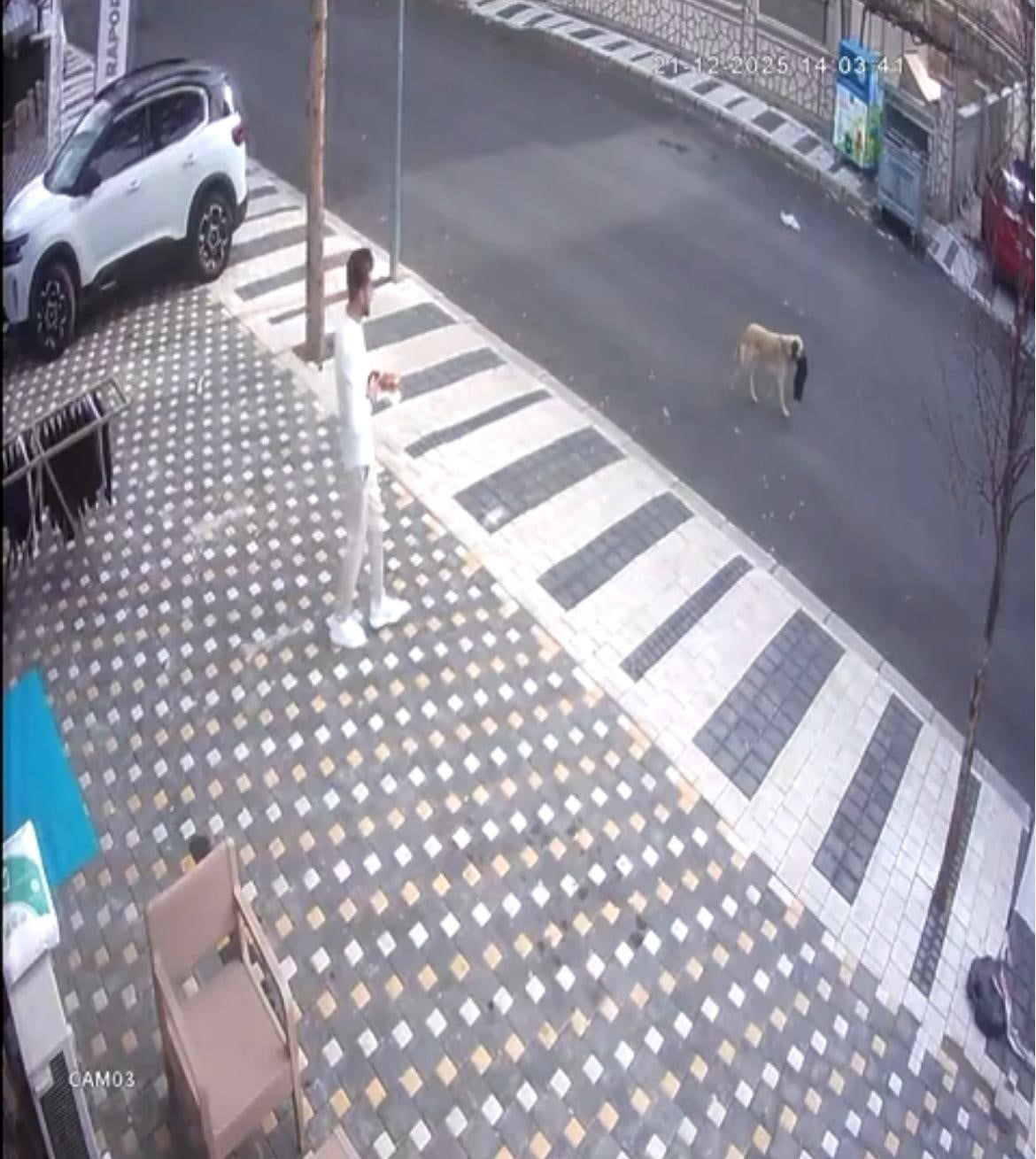 NEVŞEHİR’DE BİR KUAFÖR DÜKKANININ ÖNÜNDE ASILI BULUNAN HAVLUYU ÇALARAK UZAKLAŞMAYA ÇALIŞAN KÖPEK...