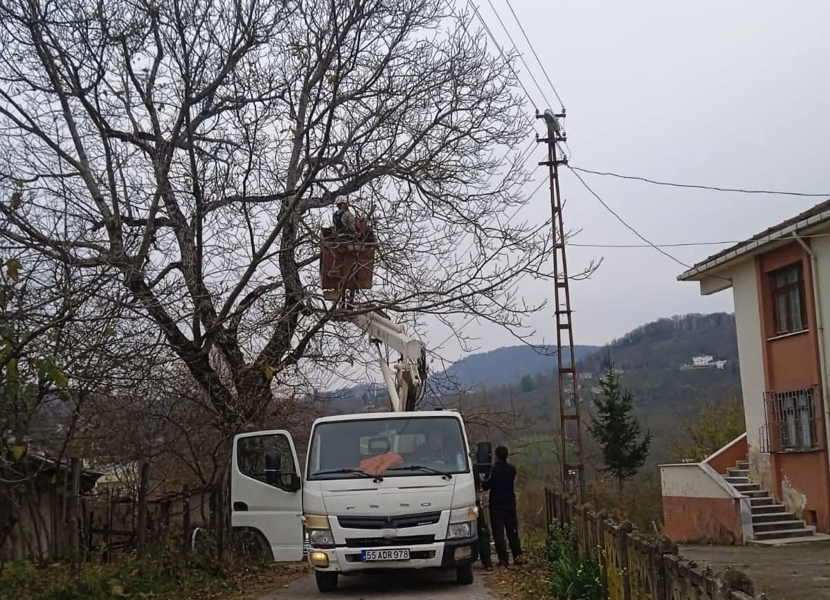 ORDU’NUN KUMRU İLÇESİNDE ELEKTRİK TELLERİNE TEMAS EDEN AĞAÇ DALLARI PLANLI ŞEKİLDE...