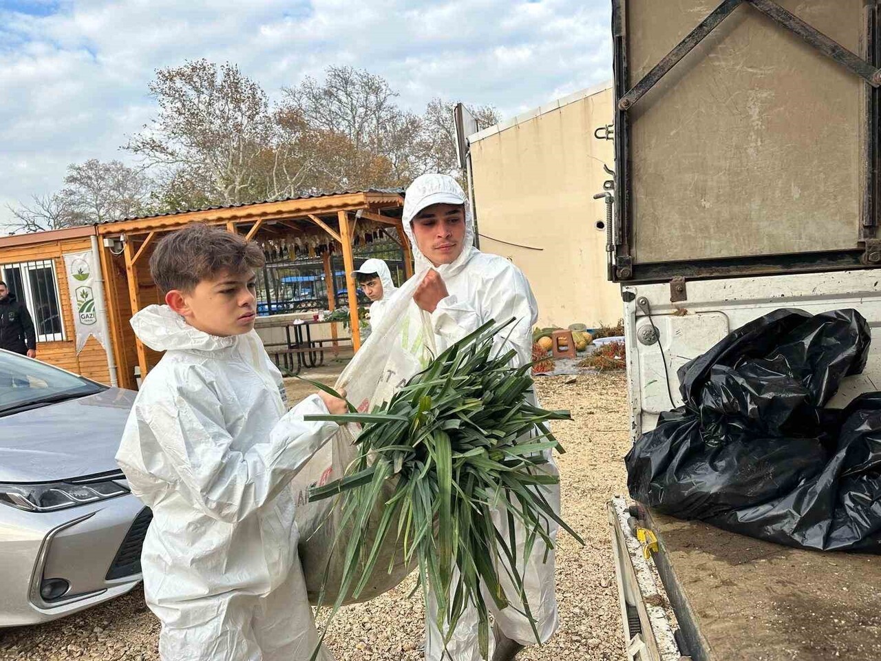 OSMANGAZİ BELEDİYESİ İŞTİRAKİ GAZİ TARIM A.Ş. TARAFINDAN ATA TOHUMUNDAN KİMYEVİ GÜBRE VE TARIM...