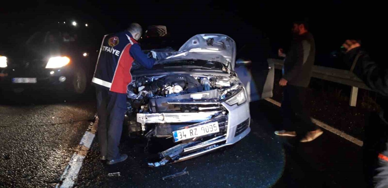 OTOMOBİL, SEYİR HALİNDEYKEN YOLDAKİ ATA ÇARPTI