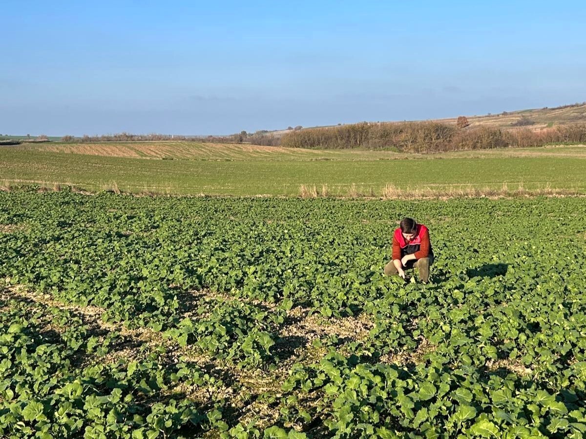PEHLİVANKÖY VE KOFÇAZ İLÇE TARIM VE ORMAN MÜDÜRLÜĞÜ EKİPLERİ, AYÇİÇEĞİ YAĞINA ALTERNATİF OLARAK...