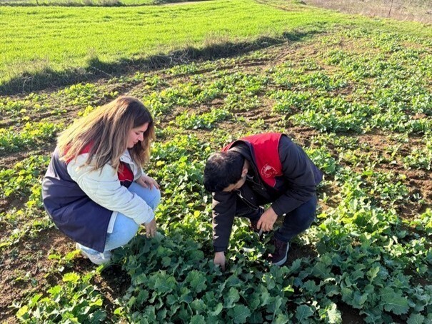 PEHLİVANKÖY VE KOFÇAZ İLÇE TARIM VE ORMAN MÜDÜRLÜĞÜ EKİPLERİ, AYÇİÇEĞİ YAĞINA ALTERNATİF OLARAK...