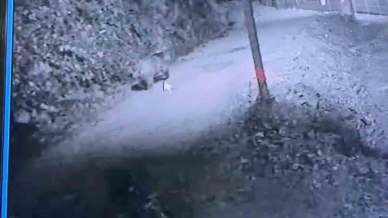 RİZE’DE VATANDAŞLARIN YAŞAM ALANLARINA GİREREK İNSANLARI MAĞDUR ETTİĞİ İÇİN SÜREK AVI İZNİ...