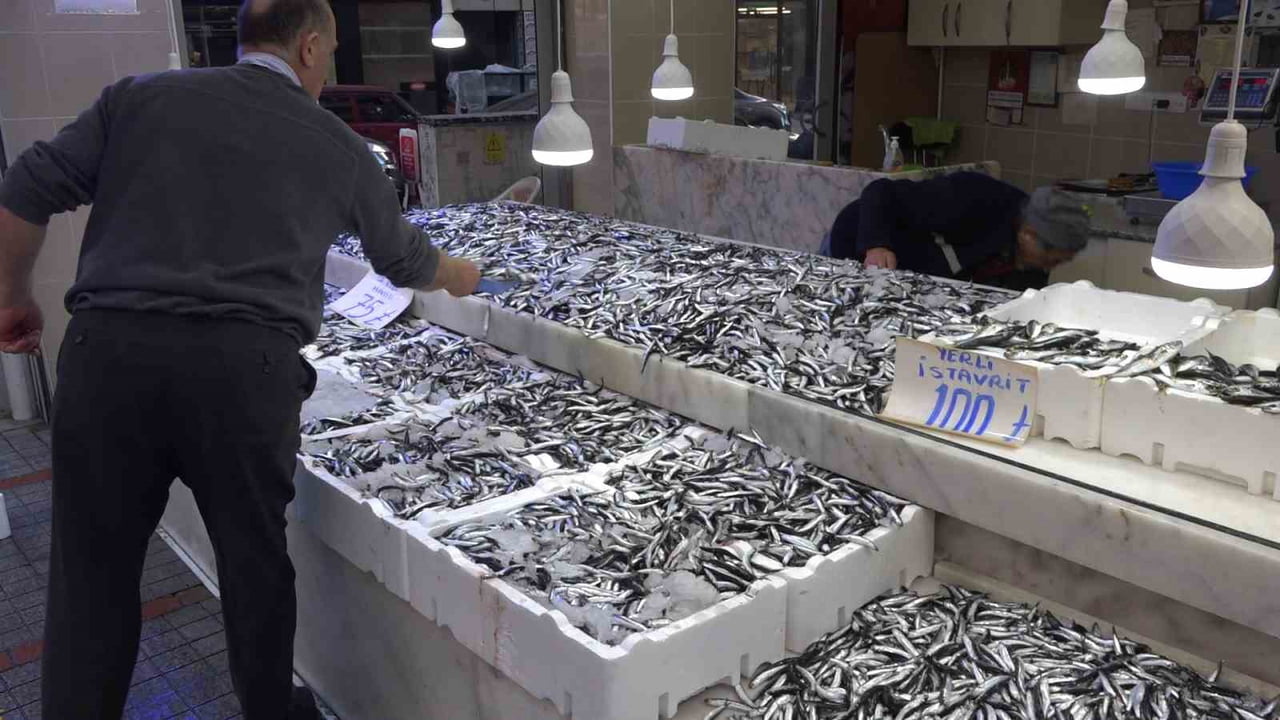 RTEÜ’LÜ BİLİM İNSANLARININ YAPTIĞI ARAŞTIRMA HAMSİNİN GELECEKTE GİDEREK AZALACAĞI GERÇEĞİNİ ORTAYA...