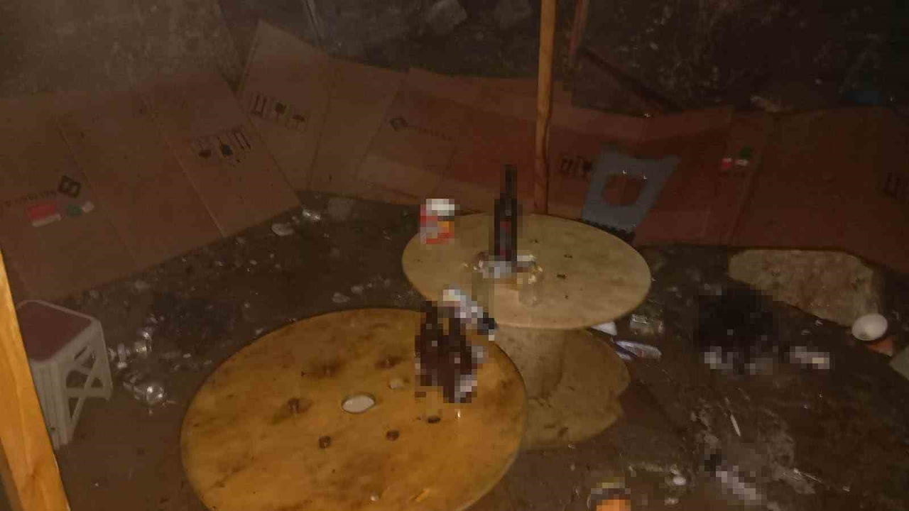 SAKARYA'NIN AKYAZI İLÇESİNDE ALKOL TÜKETENLERİN ADETA MESKENİ HALİNE GELEN BARAKA ALEV ALEV...