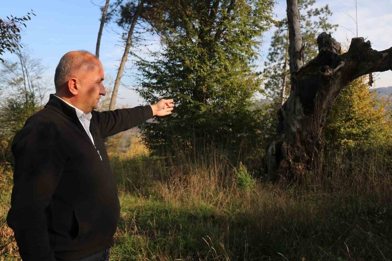 SAKARYA'NIN KOCAALİ İLÇESİNDE YAKLAŞIK 400 YILLIK TARİHE SAHİP OLDUĞU ÖNE SÜRÜLEN ESKİ MEZARLIK...