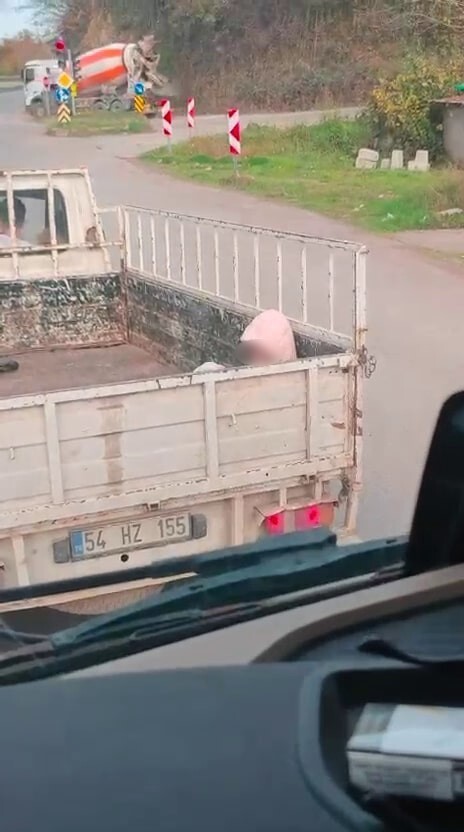 SAKARYA’NIN KARASU İLÇESİ D-650 KARA YOLUNDA SOĞUK HAVADA KAMYONET KASASINDA SEYAHAT EDEN VE...