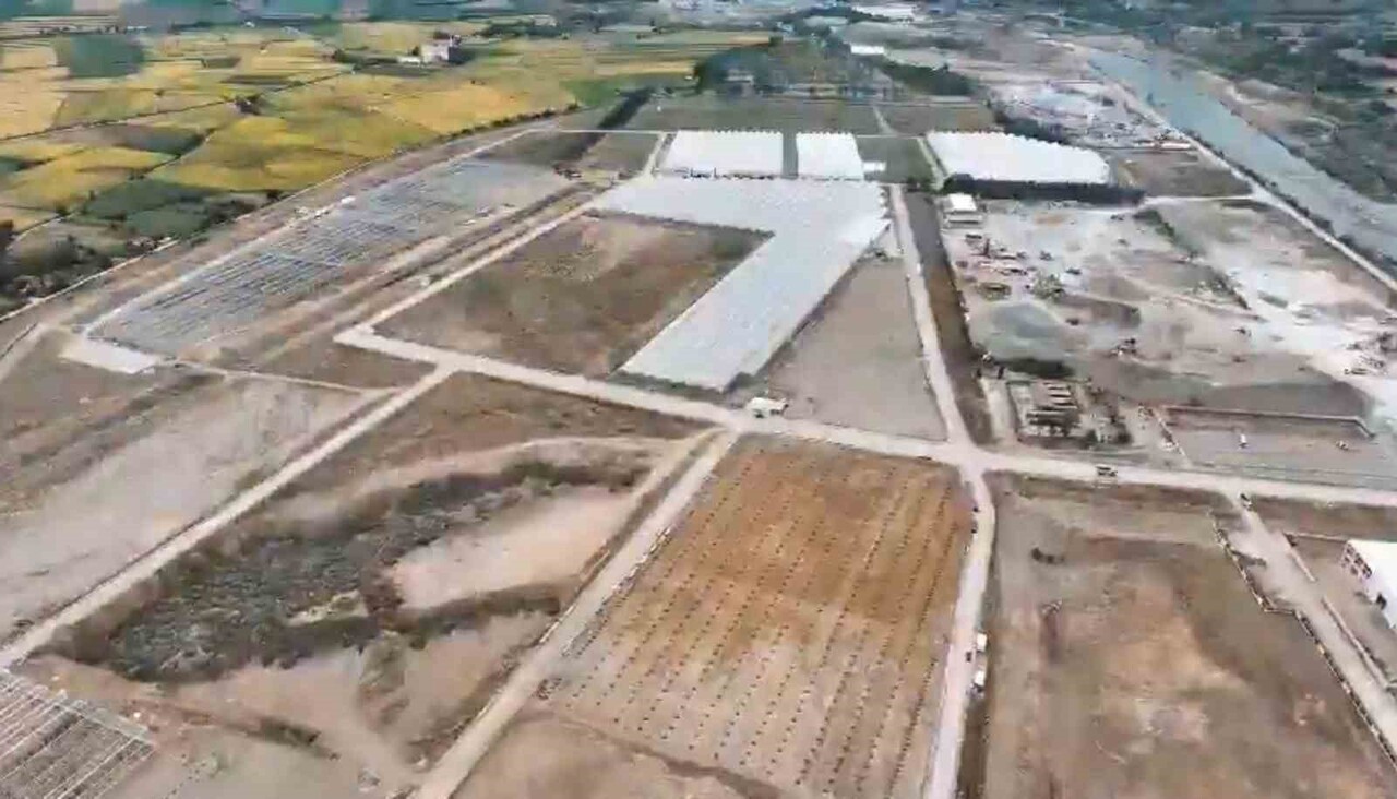 SAMSUN BAFRA SERA ORGANİZE TARIM BÖLGESİ’NDE MODERN SERALARDA TOPRAKSIZ TARIMLA ÜRETİM ARTARKEN...