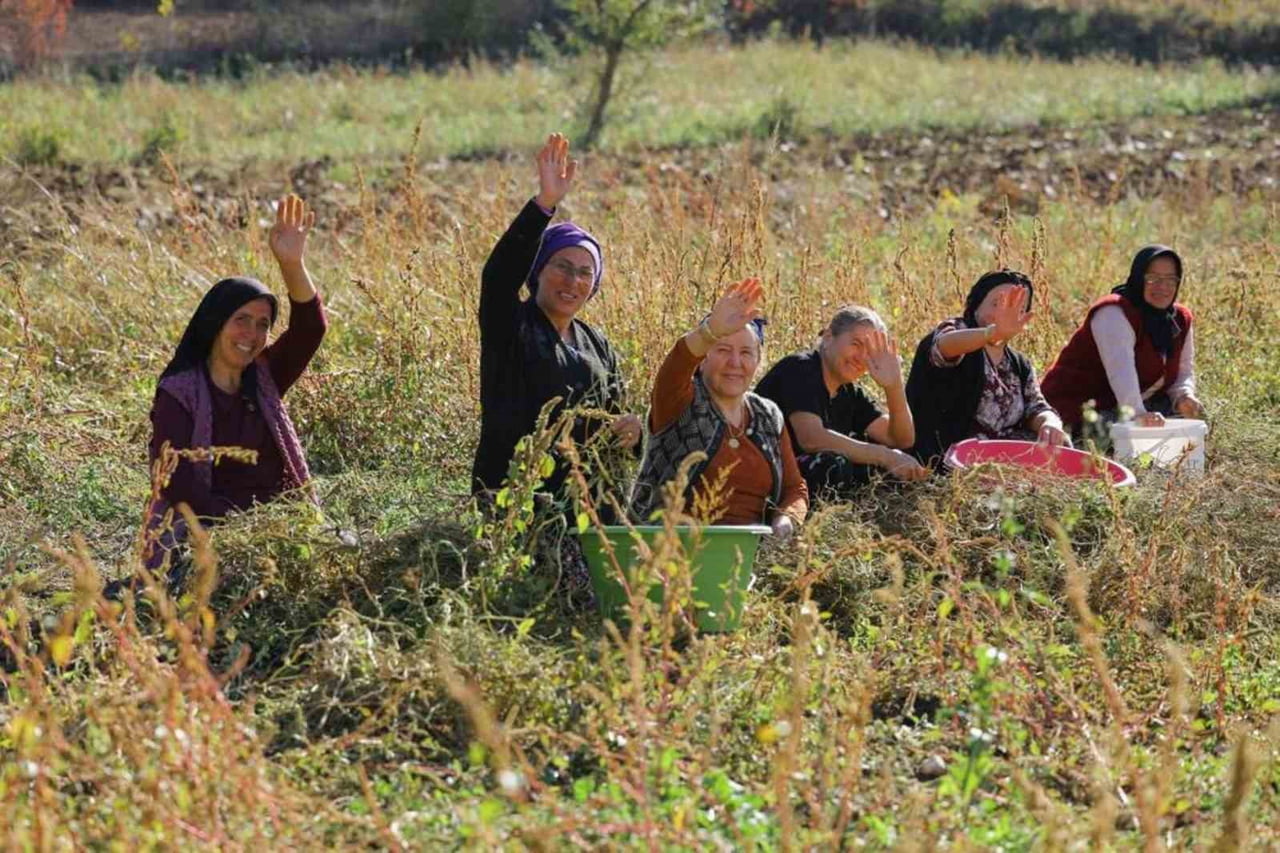 SAMSUN BÜYÜKŞEHİR BELEDİYE BAŞKANI HALİT DOĞAN, BİTKİSEL VE HAYVANSAL DESTEKLERİN ARALIKSIZ DEVAM...