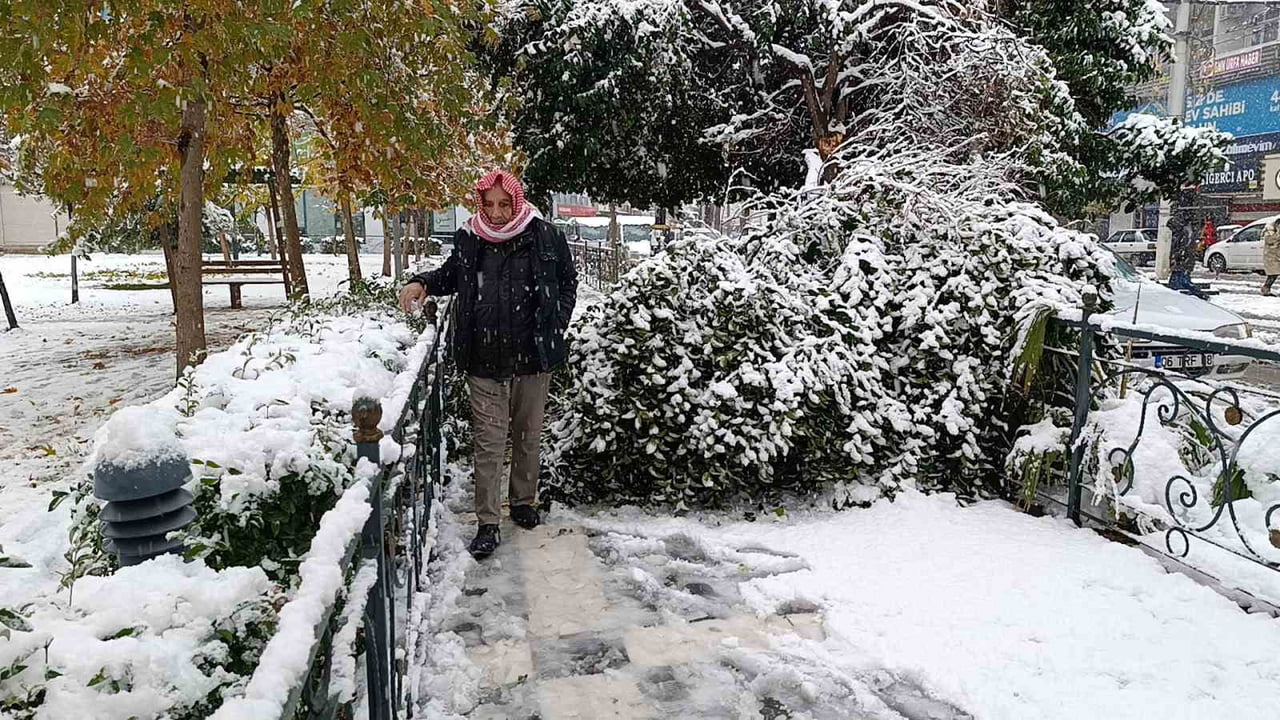 ŞANLIURFA'DA SABAH SAATLERİNDEN İTİBAREN ETKİLİ OLAN KAR YAĞIŞI NEDENİYLE BİR AĞAÇ DEVRİLDİ...