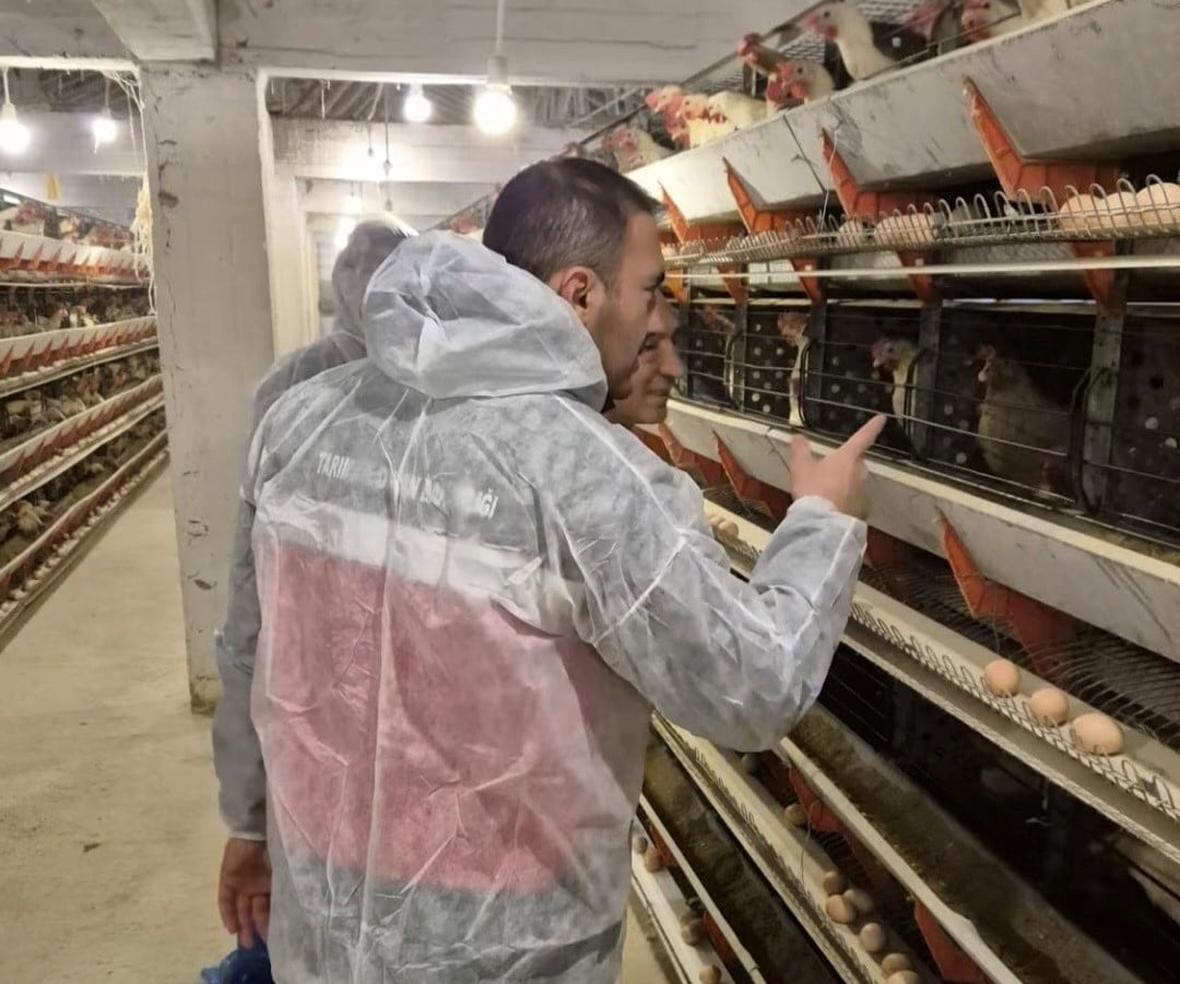 SİMAV’DA TİCARİ YUMURTACI TAVUKÇULUK İŞLETMESİNDE İLK RESMİ DENETİM