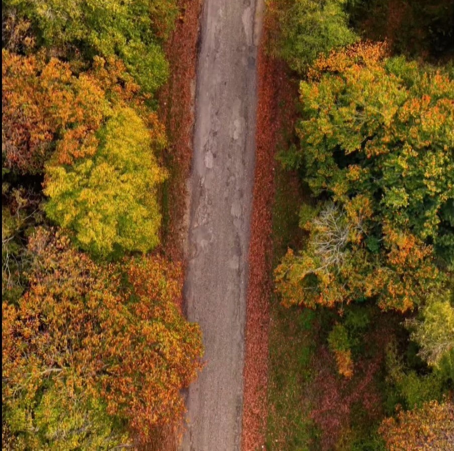 SİNOP'UN MERKEZ İLÇESİ VE İLÇELERİNDE SONBAHAR GÜZELLİĞİ YAŞANMAYA DEVAM EDİYOR.