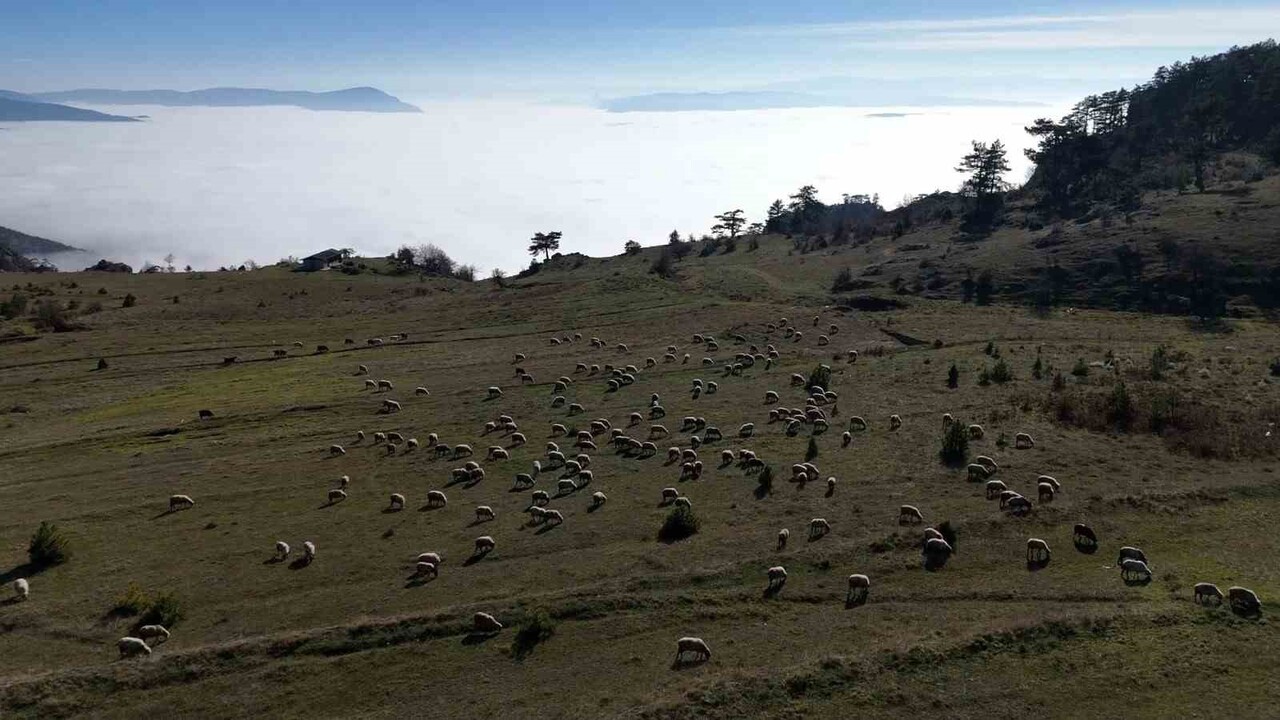 SİNOP’TA DOĞAYLA SİSİN BULUŞMASI KARTPOSTALLIK MANZARALAR OLUŞTURDU.