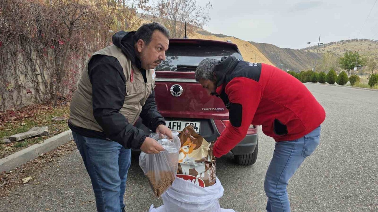 SİVEREK’TE SAHİPSİZ KEDİLERE MAMA BIRAKILDI