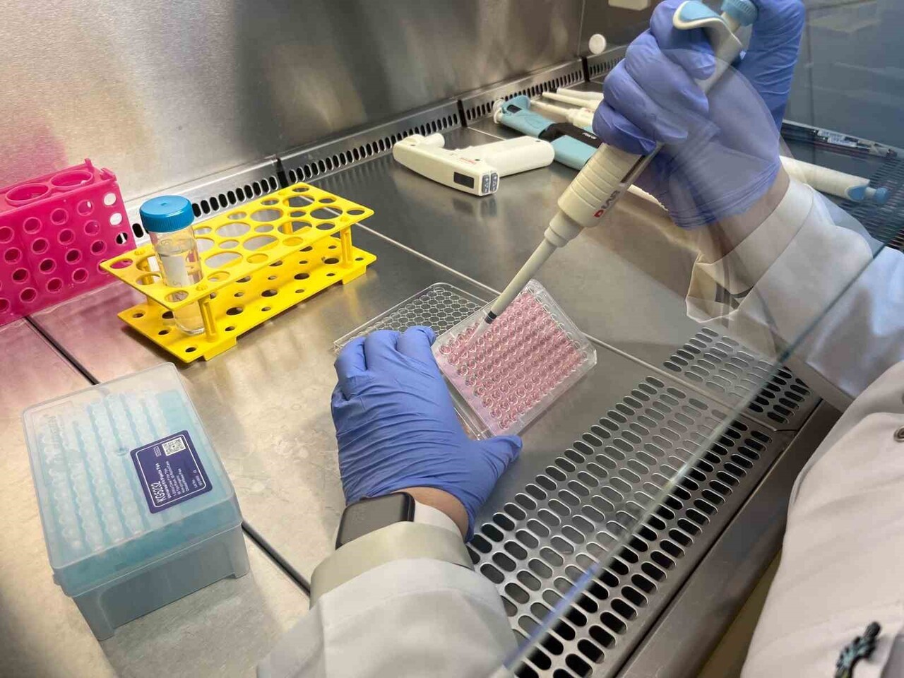 TIBBİ FARMAKOLOJİ ANABİLİM DALI’NDA SÜRDÜRÜLEN PROJEDE, SON YILLARDA DÜNYADA HIZLA GELİŞEN ÇİP...