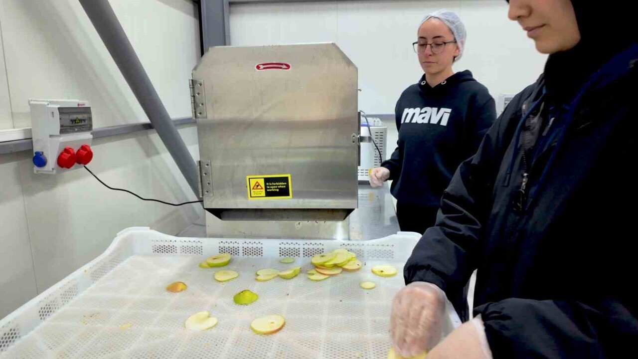 TOKAT GAZİOSMANPAŞA ÜNİVERSİTESİ'NİN (TOGÜ) TAMAMEN GÜNEŞ ENERJİSİYLE ÇALIŞAN TARIM ÜRÜNLERİ...