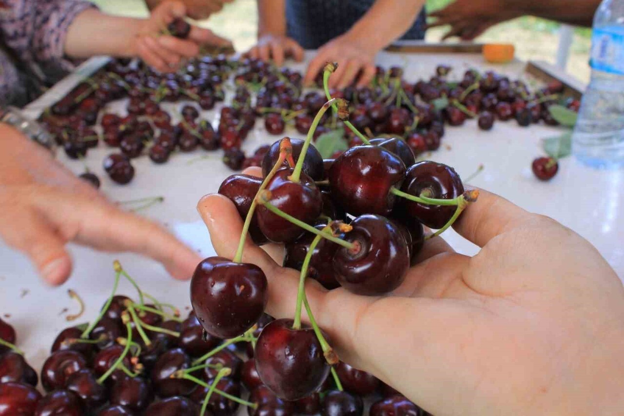 TÜRK PATENT VE MARKA KURUMU (TPE) COĞRAFİ İŞARETLER DAİRESİ BAŞKANI HAKAN KIZILTEPE, İLK "COĞRAFİ...