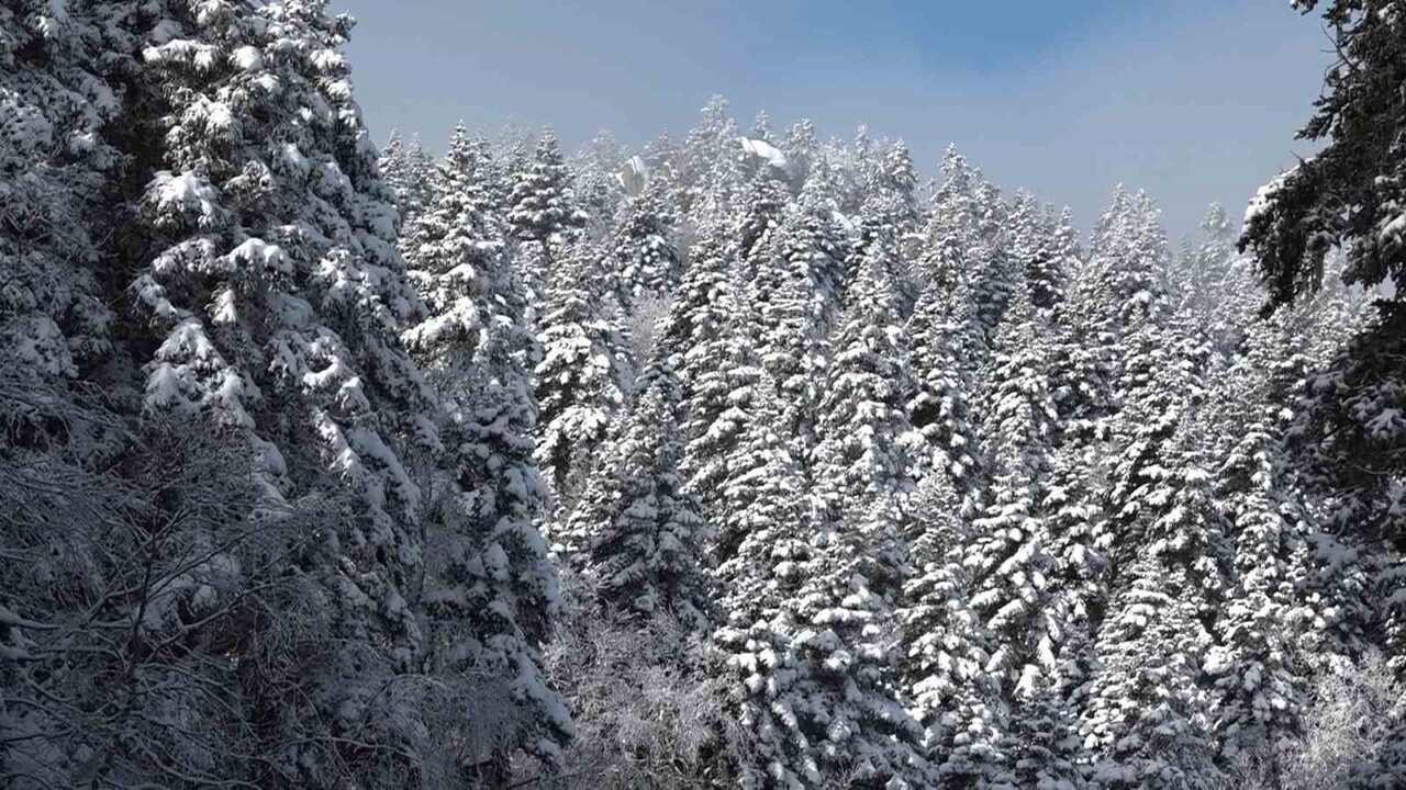 ULUDAĞ'IN ZİRVESİNDE ETKİLİ OLAN YOĞUN SİSLE BİRLİKTE GÖZ GÖZÜ GÖRMEZKEN, GÜNÜBİRLİK OLARAK GELEN...