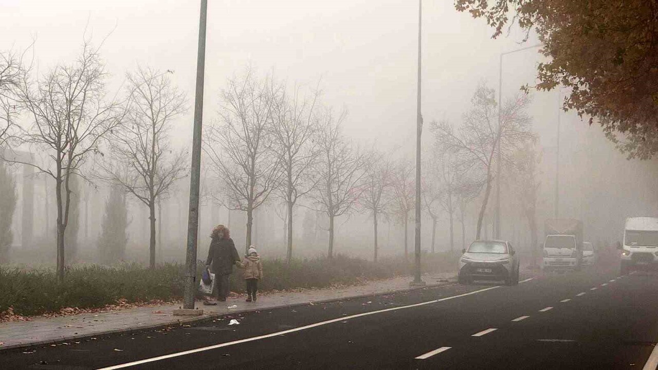 UZMANLAR, İNSAN FAALİYETLERİ, SANAYİ VE ŞEHİR YAŞAMIYLA BİRLİKTE SOLUNAN HAVADA BİRTAKIM ZARARLI...