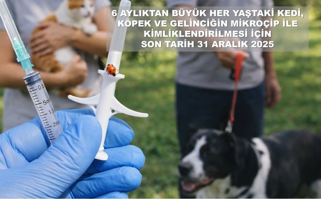 VALİLİKTEN EVCİL HAYVAN UYARISI