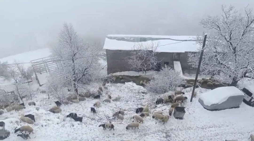 VAN'IN BAHÇESARAY İLÇESİNDE ETKİLİ OLAN KAR YAĞIŞI HAYATI OLUMSUZ YÖNDE ETKİLERKEN, MAHALLE...