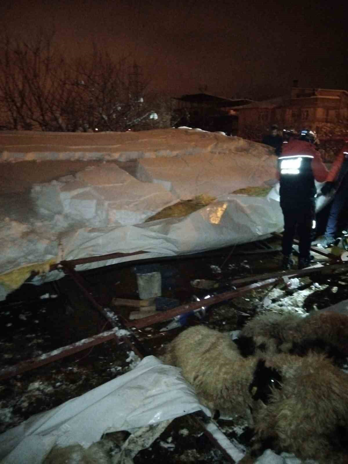 VAN'IN EDREMİT İLÇESİNDE, ETKİLİ OLAN KARIN AĞIRLIĞINA DAYANAMAYAN AHIRIN ÇÖKMESİ SONUCU 5...