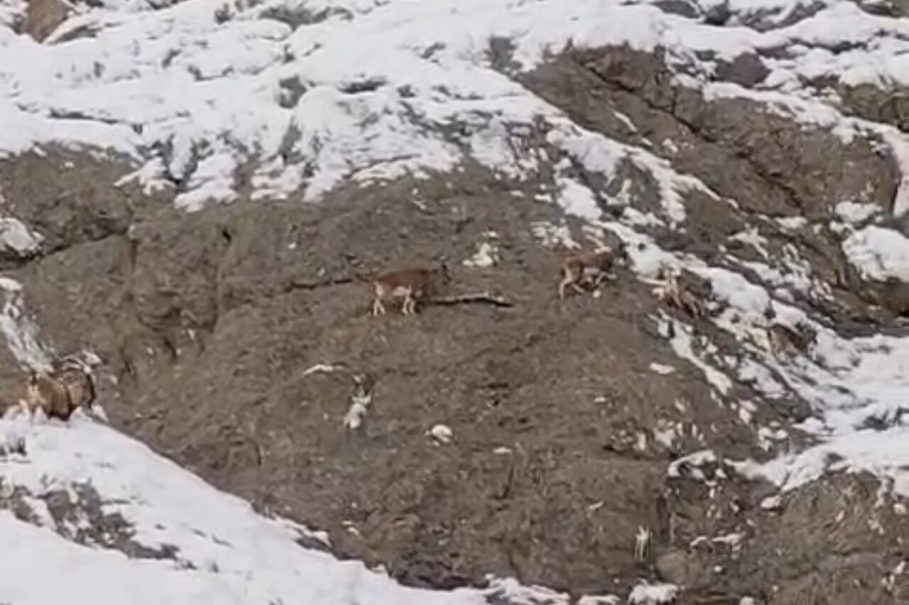 VAN-YÜKSEKOVA KARA YOLU ÜZERİNDE ZORLU COĞRAFYASIYLA BİLİNEN GÜZELDERE BÖLGESİNİN KARLI...