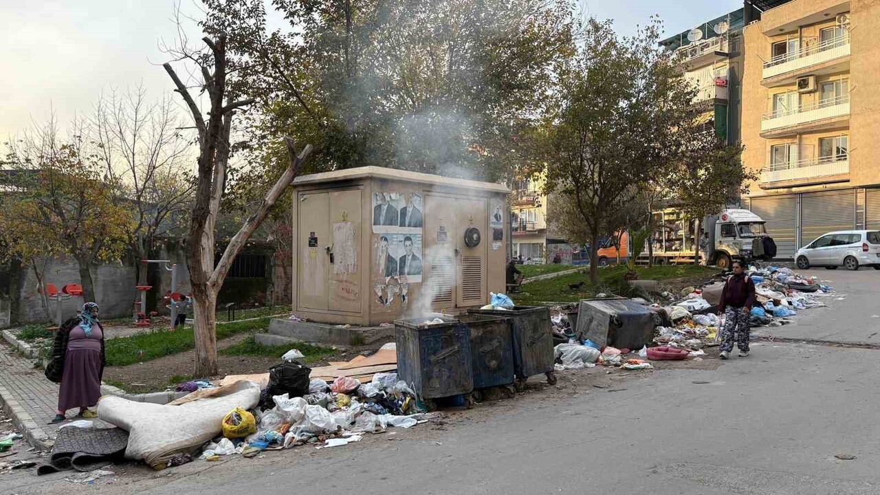 YANAN ÇÖP KONTEYNERLERİ, SOKAK HAYVANLARININ ETRAFA SAÇTIĞI ÇÖP POŞETLERİ, ÇİRKİN MANZARA...