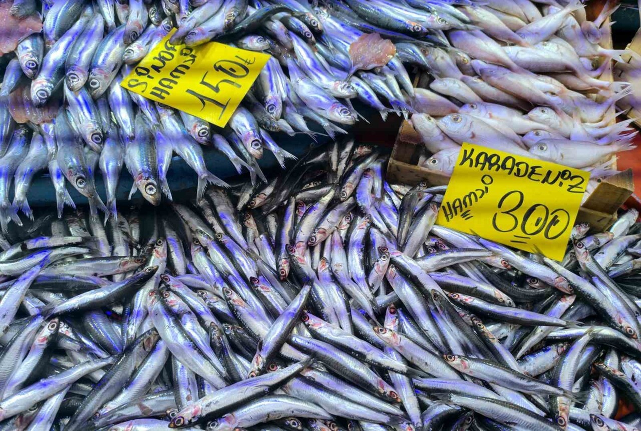 YURT GENELİ İLE BİRLİKTE AFYONKARAHİSAR'DA DA HAVALARIN SOĞUMASIYLA BALIK TEZGAHLARINDA...