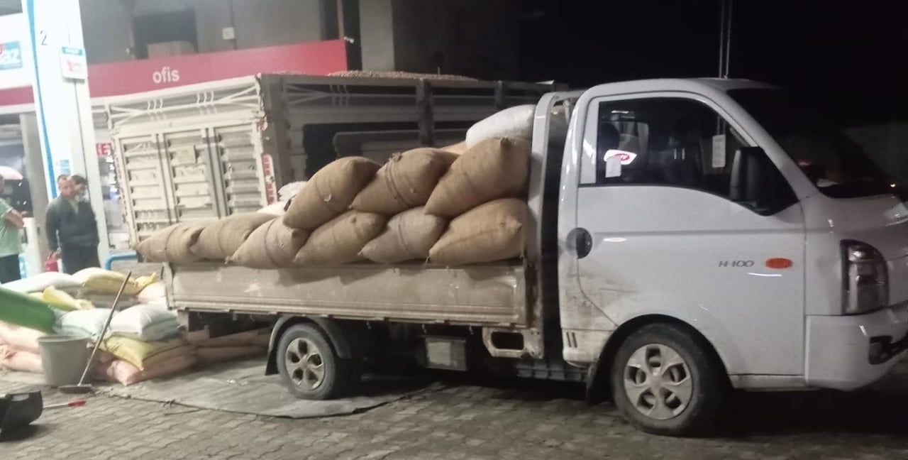 ZONGULDAK (İHA) - YILBAŞININ YAKLAŞMASIYLA BİRLİKTE ZONGULDAK'IN ALAPLI’DA SERBEST PİYASADA FINDIK...