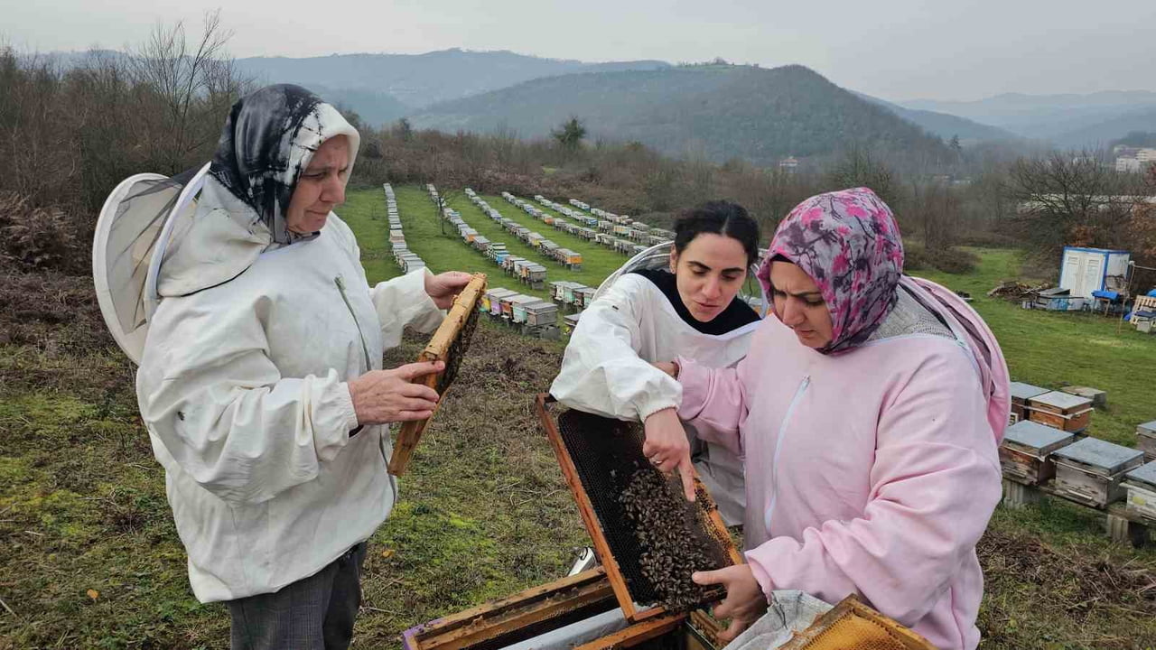 ZONGULDAK’IN YAŞAYAN MELİHA AKOSMAN, DEDEDEN KALMA ARICILIK MESLEĞİNİ KIZLARI ESRA AKOSMAN VE...