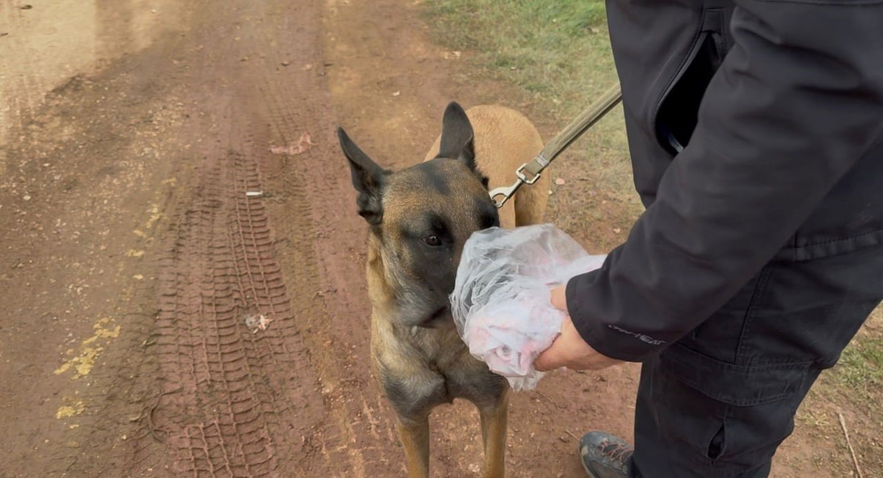 7. GÜN KAPIDAĞ’DA UMUT NÖBETİ SÜRÜYOR