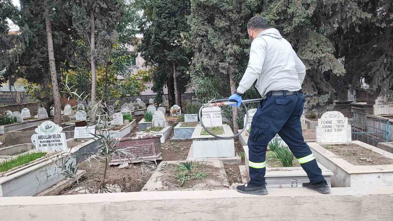 ADANA'DA AKKAPI MAHALLESİNDE SÜRÜ HALİNDE GEZEN SOKAK KÖPEKLERİ NEDENİYLE VATANDAŞLAR TEDİRGİN...