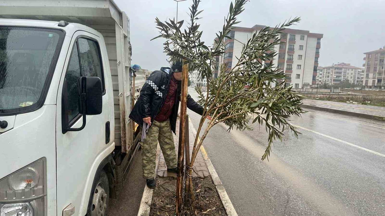 ADIYAMAN BELEDİYESİ PARK VE BAHÇELER MÜDÜRLÜĞÜ EKİPLERİ, KENT ESTETİĞİNİ KORUMAK VE YEŞİL DOKUYU...