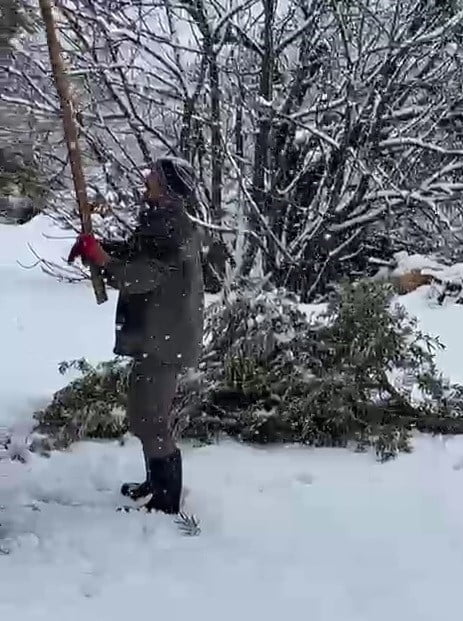 ADIYAMAN’DA, BİRKAÇ GÜNDÜR ETKİLİ OLAN KAR YAĞIŞINA DAYANAMAYAN BAZI AĞAÇLAR ZARAR...