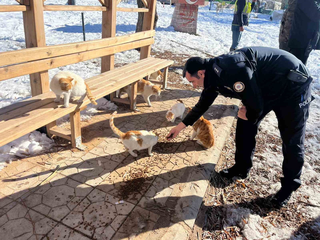 ADIYAMAN’IN GÖLBAŞI İLÇE EMNİYET MÜDÜRLÜĞÜ EKİPLERİ, SOKAK HAYVANLARI İÇİN MAMA VE YEM...