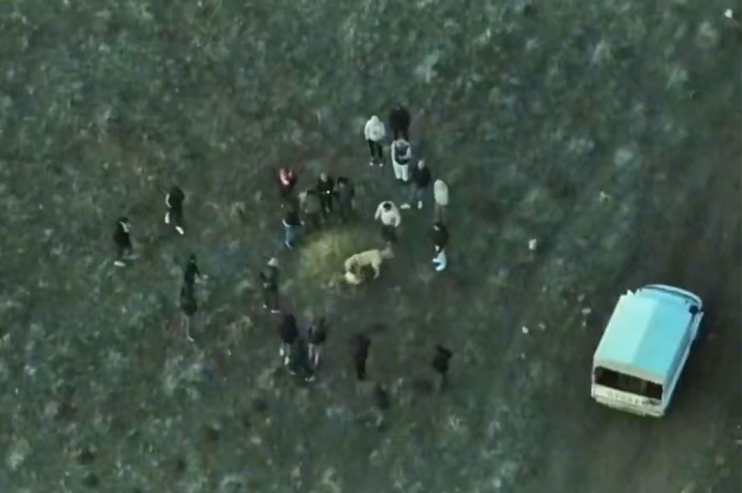 AFYONKARAHİSAR’DA KÖPEK DÖVÜŞTÜREN ŞAHISLAR DRON İLE HAVADAN TESPİT EDEN JANDARMA EKİPLERİ 14...