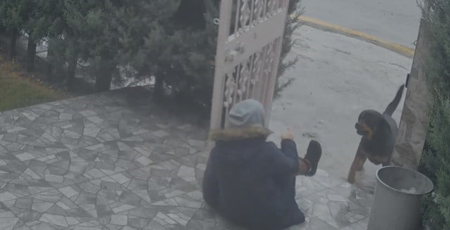 ANKARA’DA SAHİPSİZ KÖPEKLERİN SALDIRISINA UĞRAYAN E.Ç.’YE YARDIM EDEN NURTEN GÜVEN, "BİZ...