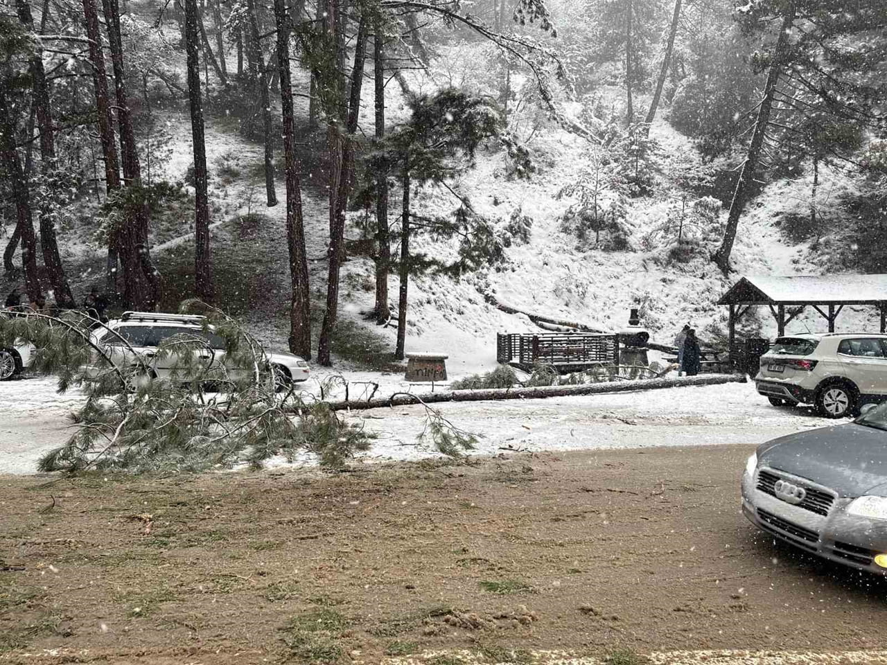 ANKARA’NIN KIZILCAHAMAM İLÇESİNDE ETKİSİNİ SÜRDÜREN KAR YAĞIŞI NEDENİYLE SOĞUKSU MİLLİ PARKINDA...