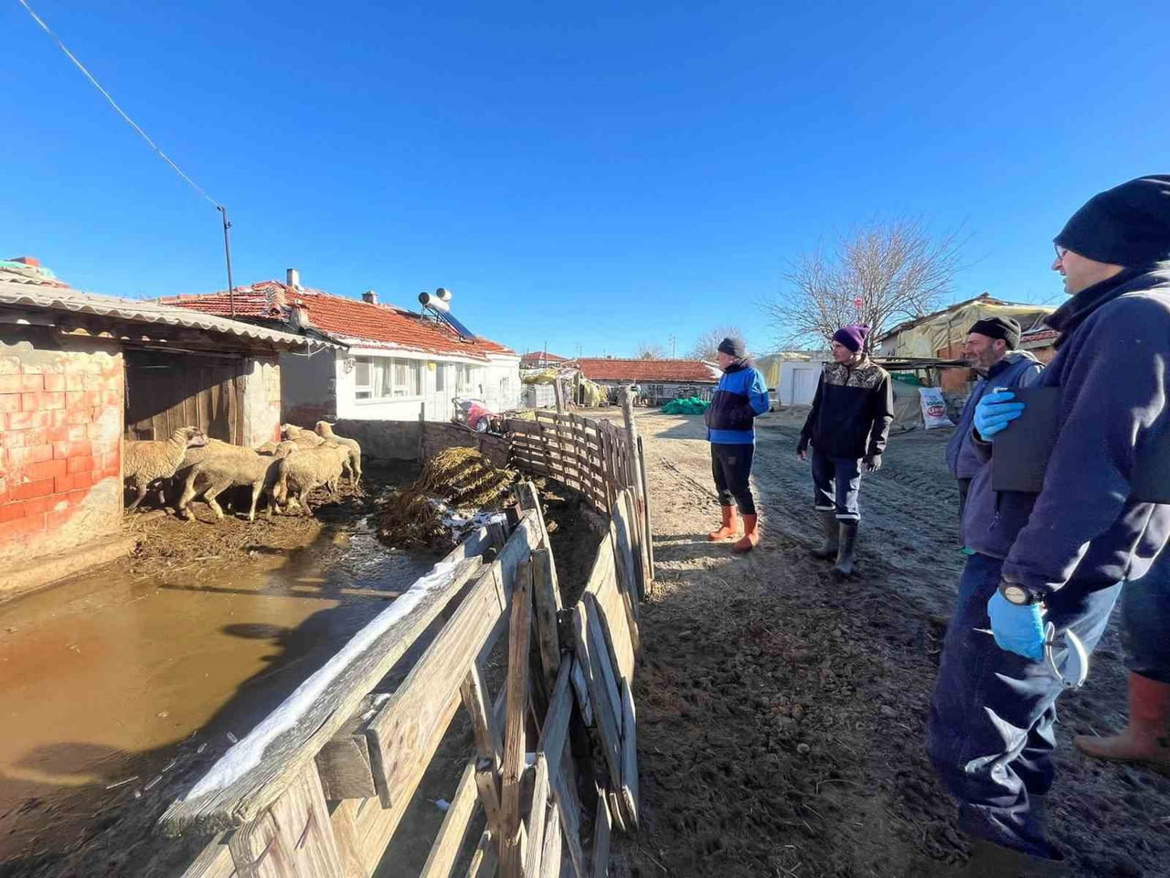 AŞI SIRASINDA YENİ DOĞAN KUZU SEVİNDİRDİ